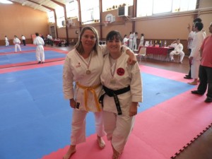 Fontenille2010a